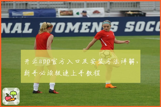 开云app官方入口及安装方法详解，新手必读极速上手教程