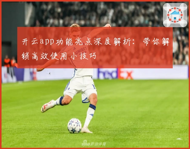 开云app功能亮点深度解析：带你解锁高效使用小技巧