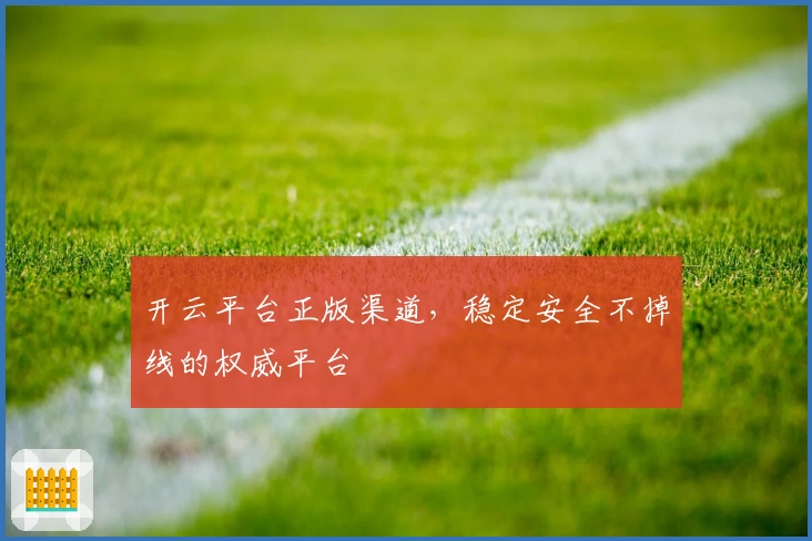 开云平台正版渠道，稳定安全不掉线的权威平台
