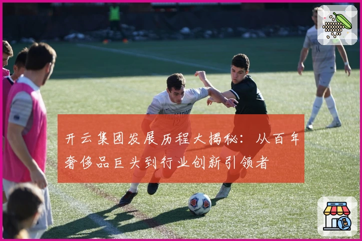 开云集团发展历程大揭秘：从百年奢侈品巨头到行业创新引领者