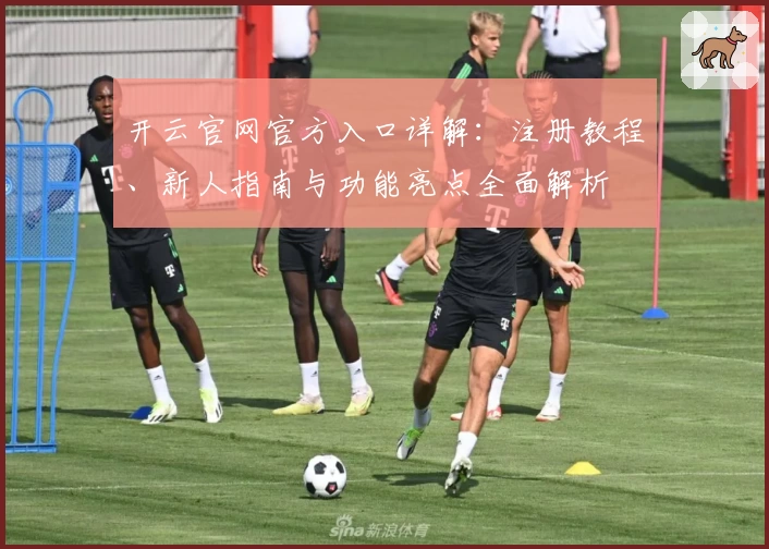 开云官网官方入口详解：注册教程、新人指南与功能亮点全面解析