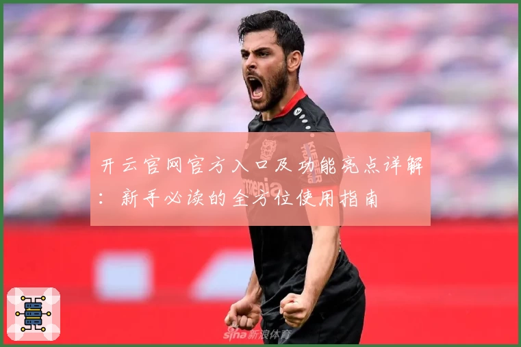 开云官网官方入口及功能亮点详解：新手必读的全方位使用指南